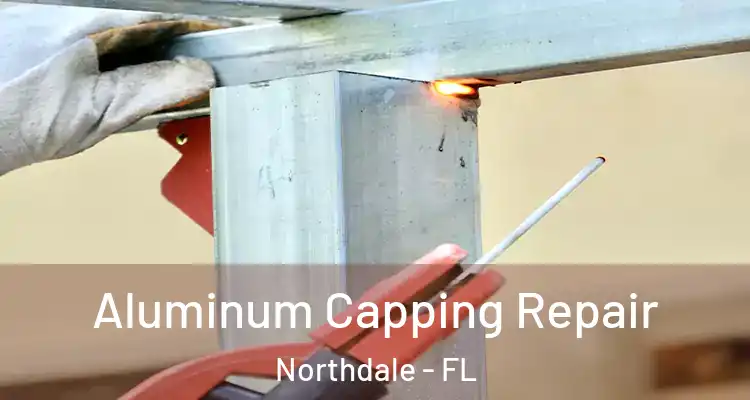  Aluminum Capping Repair Northdale - FL