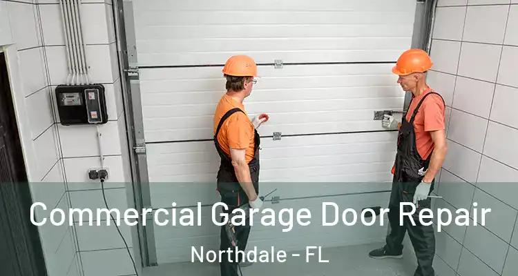  Commercial Garage Door Repair Northdale - FL