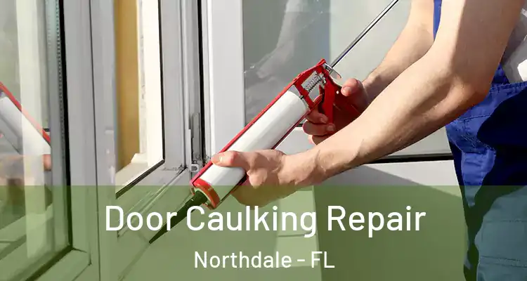  Door Caulking Repair Northdale - FL