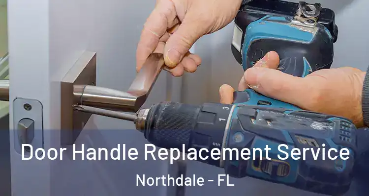  Door Handle Replacement Service Northdale - FL