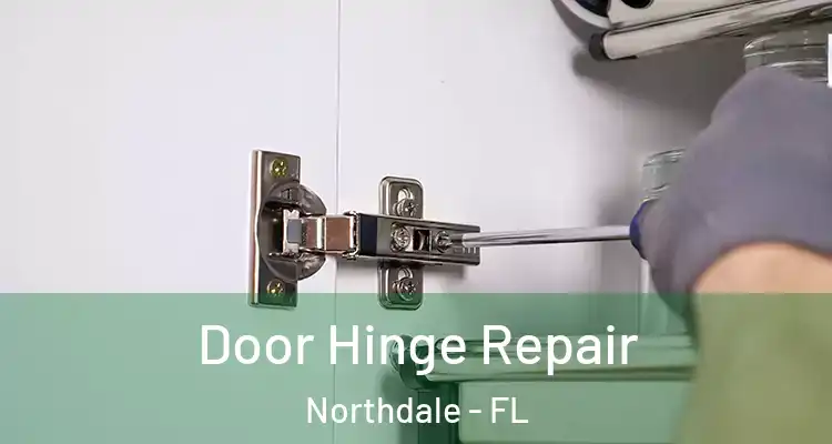  Door Hinge Repair Northdale - FL