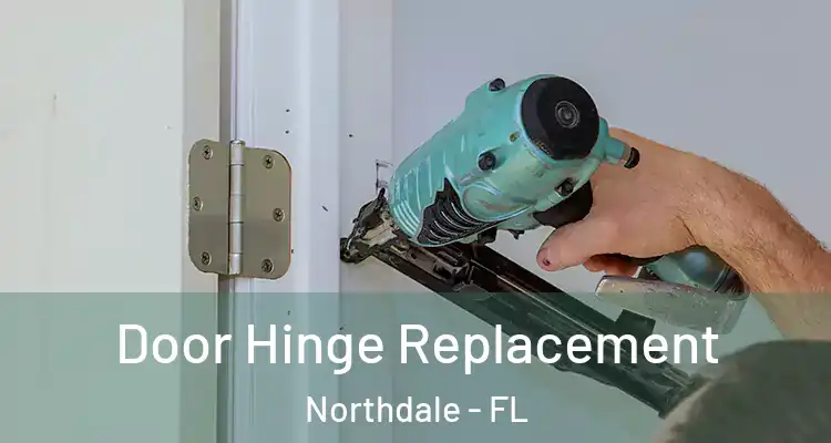  Door Hinge Replacement Northdale - FL