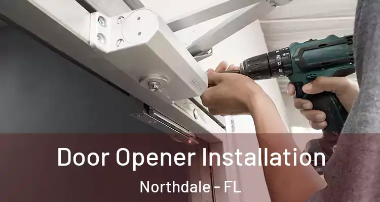  Door Opener Installation Northdale - FL