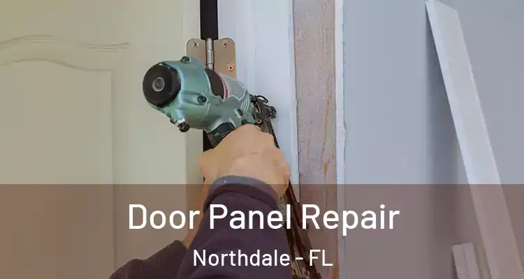  Door Panel Repair Northdale - FL