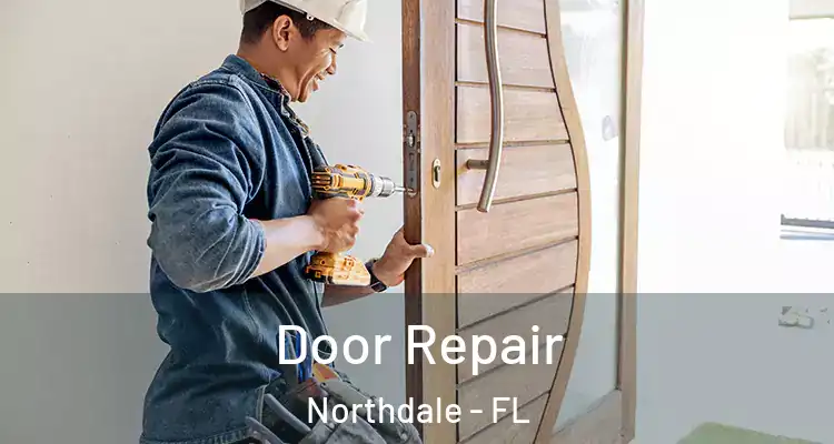  Door Repair Northdale - FL