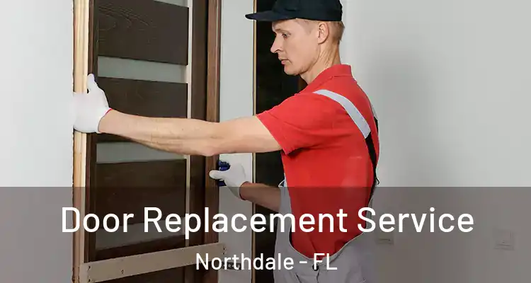  Door Replacement Service Northdale - FL