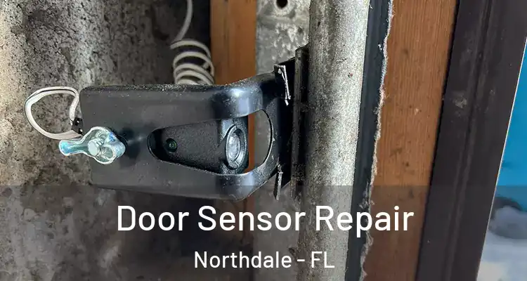  Door Sensor Repair Northdale - FL