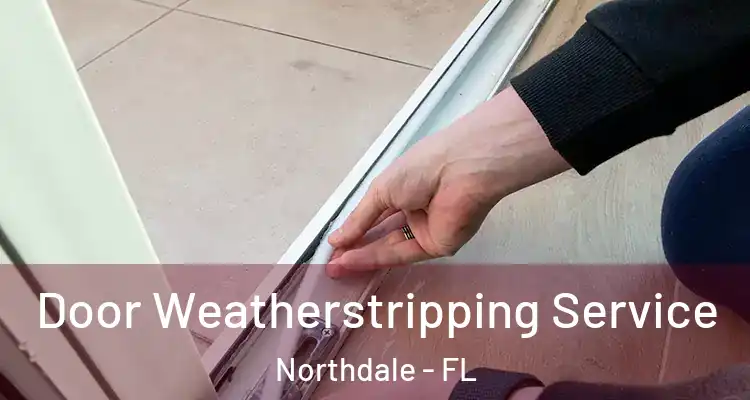  Door Weatherstripping Service Northdale - FL