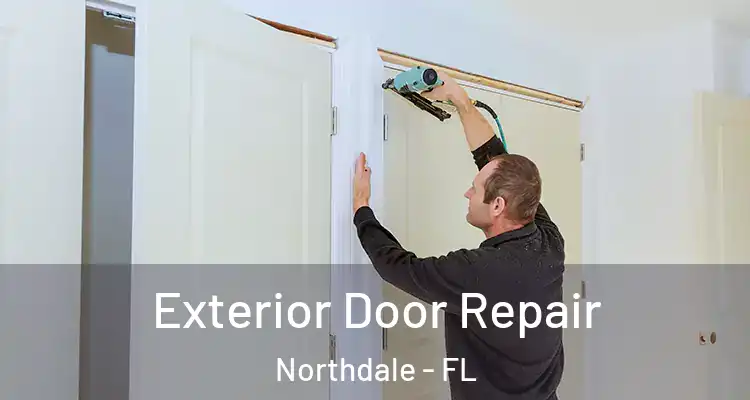  Exterior Door Repair Northdale - FL