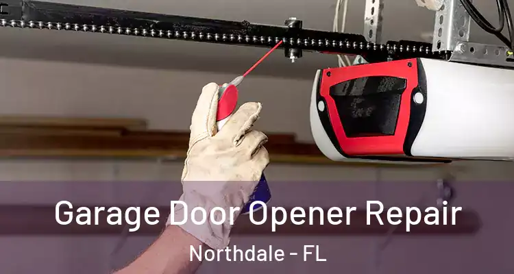  Garage Door Opener Repair Northdale - FL