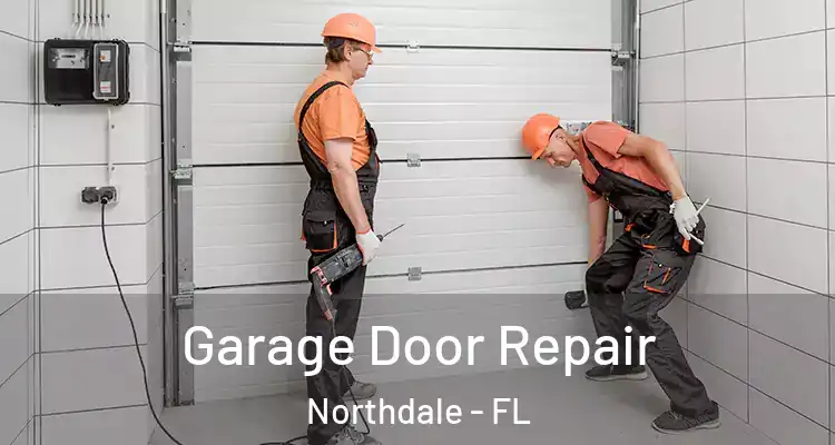  Garage Door Repair Northdale - FL