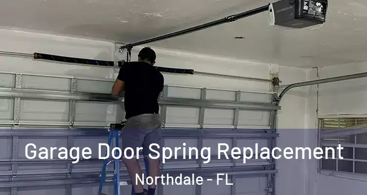  Garage Door Spring Replacement Northdale - FL