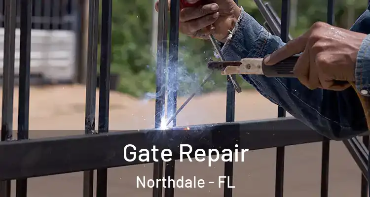  Gate Repair Northdale - FL