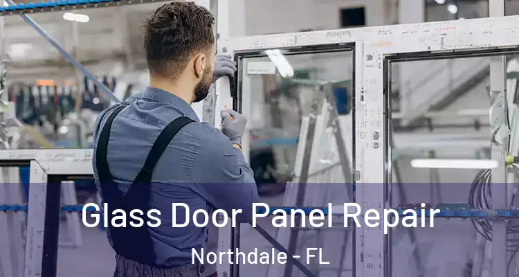  Glass Door Panel Repair Northdale - FL