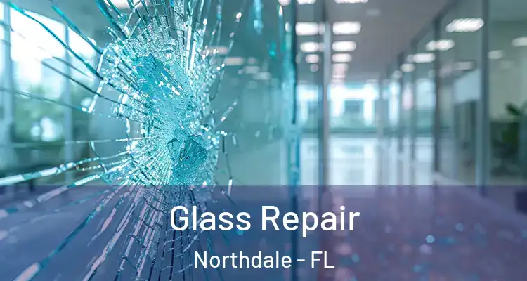  Glass Repair Northdale - FL