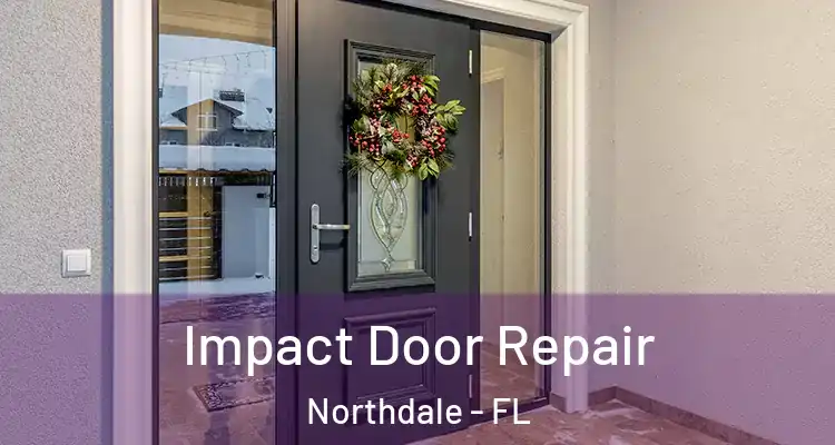  Impact Door Repair Northdale - FL
