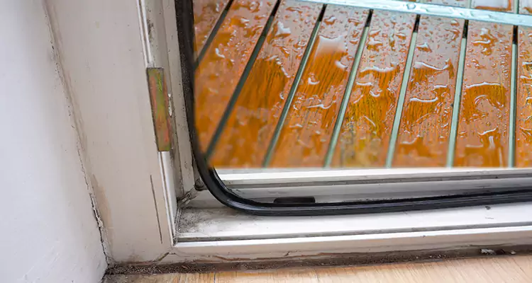 Water Leaking Wooden Patio Doors Repair in Northdale, FL