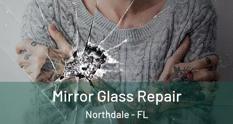  Mirror Glass Repair Northdale - FL