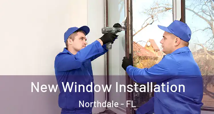  New Window Installation Northdale - FL