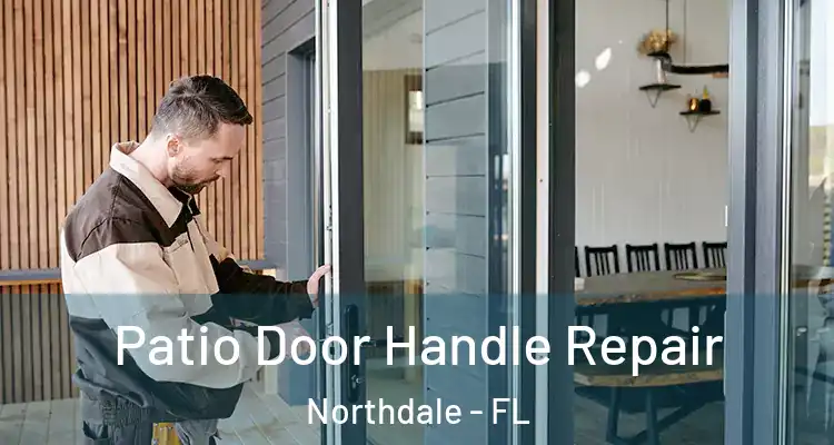  Patio Door Handle Repair Northdale - FL