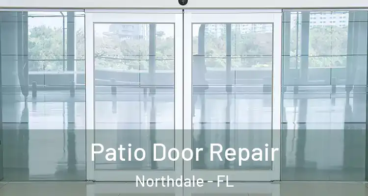  Patio Door Repair Northdale - FL