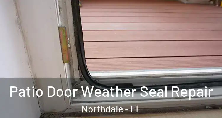  Patio Door Weather Seal Repair Northdale - FL