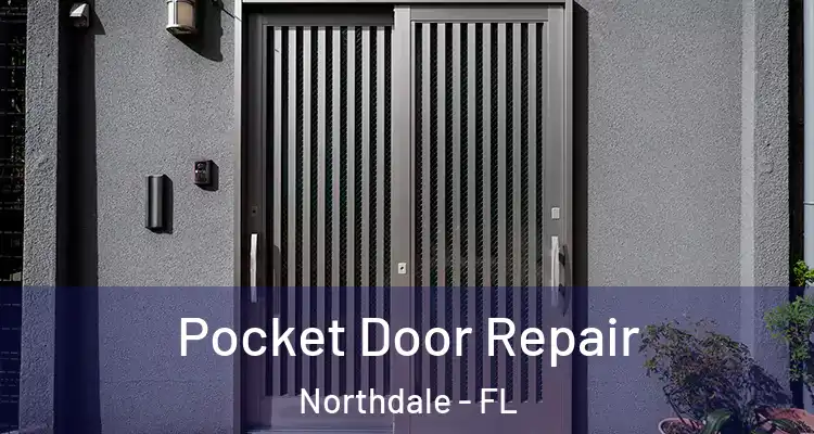  Pocket Door Repair Northdale - FL