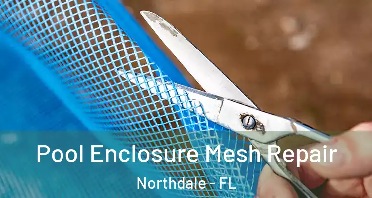  Pool Enclosure Mesh Repair Northdale - FL
