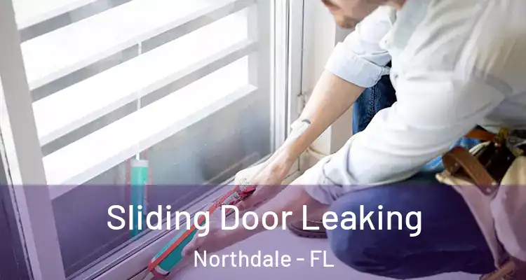  Sliding Door Leaking Northdale - FL