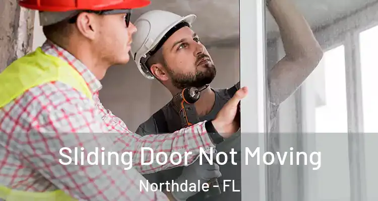 Sliding Door Not Moving Northdale - FL