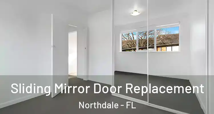  Sliding Mirror Door Replacement Northdale - FL