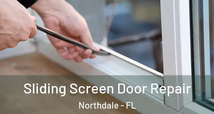  Sliding Screen Door Repair Northdale - FL