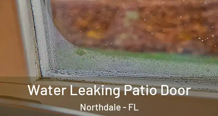  Water Leaking Patio Door Northdale - FL