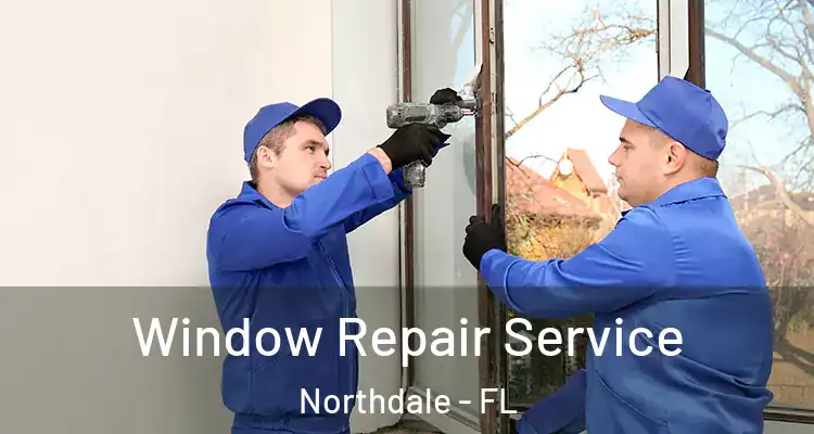  Window Repair Service Northdale - FL