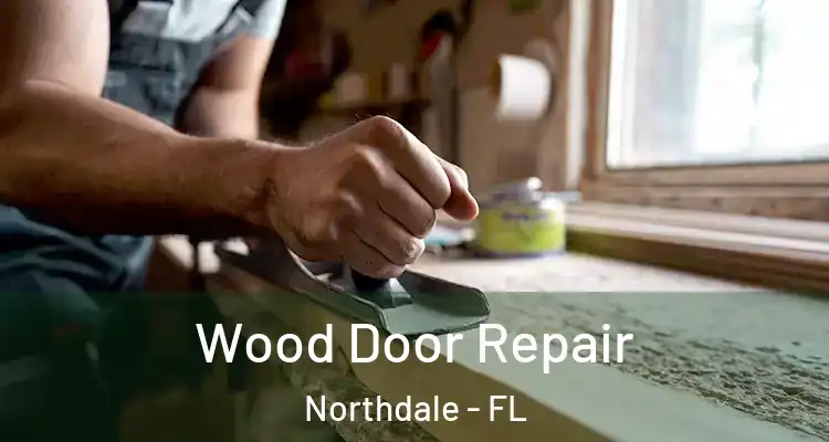  Wood Door Repair Northdale - FL